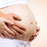 Calendrier de votre suivi de grossesse au Centre Parmentier. 