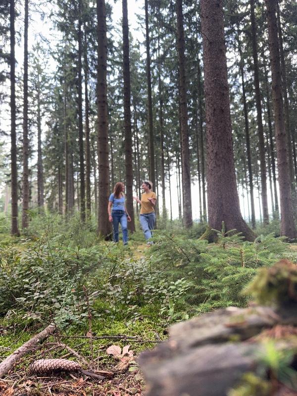 Nouveau Parcours d'accompagnement en développement de projet!