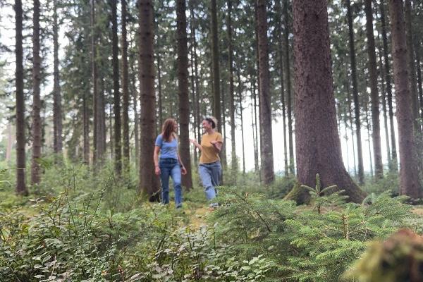 Parcours d'accompagnement de projet : L' Odyssée l'art de la transformation