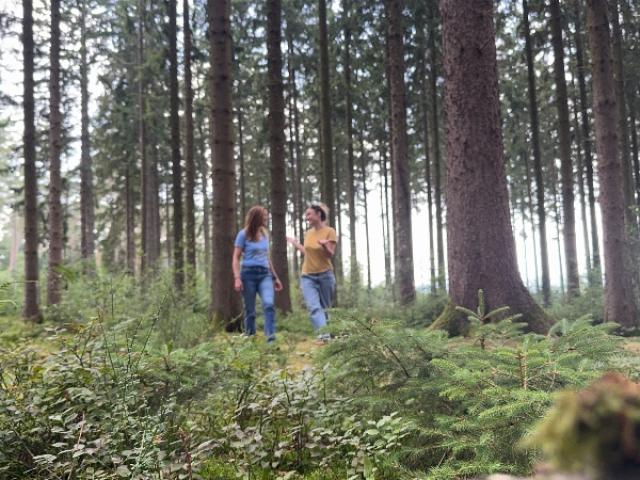 Parcours d'accompagnement de projet : L' Odyssée l'art de la transformation